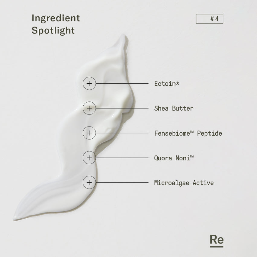 ReMoisturize – Rich Cream